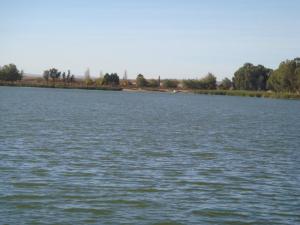 Lac Sidi Mohamed Benali (Sidi Bel Abbes)