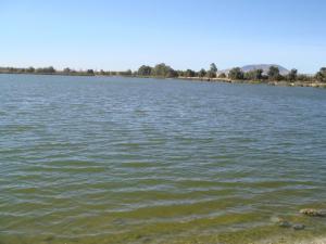 Lac Sidi Mohamed Benali (Sidi Bel Abbes)