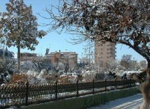 La Neige ? Sidi Bel Abbes