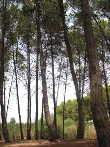 LAC_Sidi Mohamed Ben Ali