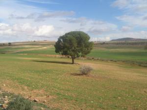 Paysage pr?s de Oued Sefioune