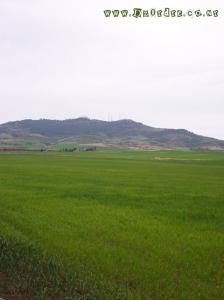 Panoramique de Tessala Sidi Belabbes au Printemps