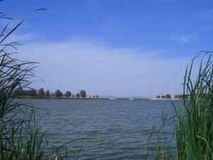 Lac Sidi Mohamed Ben Ali