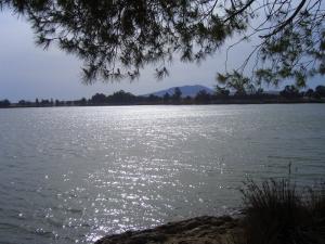 Lac Sidi Mohamed Ben Ali