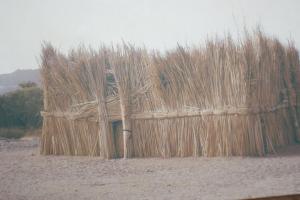 TAMANRASSET S'INVITE A TIARET