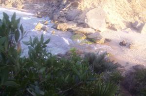 l'ilot_El Hnaya (ANNABA)