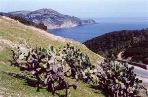 Vue General sur Annaba  Sidi Issa