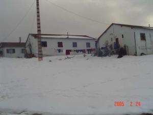 Bouzizi sous la neige.Seraidi. ANNABA