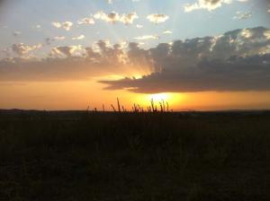 Coucher de Soleil ? Chorfa