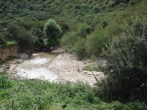 For?t de Annaba au Printemps