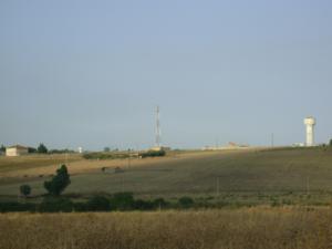 Champ de bl? ? Annaba