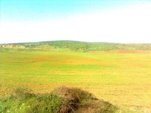 Vertes Collines de Annaba