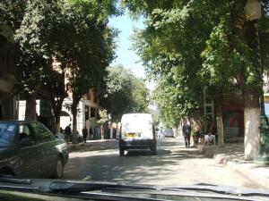 Setif, Allée Ombragée