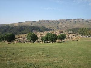 Setif  El Djemila  Ruines Romaines