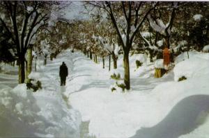 La Neige à  Sétif