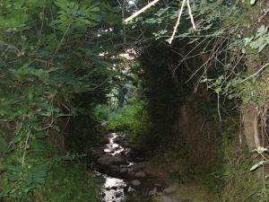 Cours d'eau àAin Abessa (Setif)