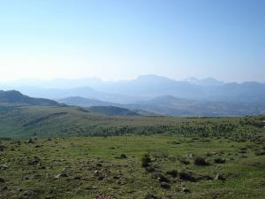 Prairies d'Ain Abessa (Setif)