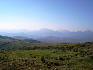 Végétation Naturelle à Ain Abessa (Setif)