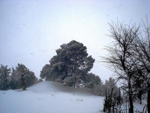 Ain Abessa sous la neige