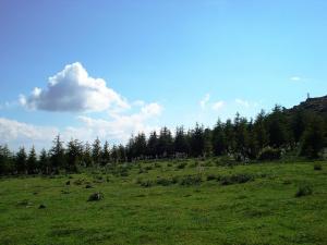 Paysage à Ain Abessa (Setif)