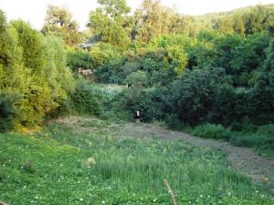 Ain Abessa au Printemps