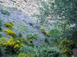 Ain Abessa au Printemps