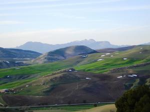 Verdure d'Ain Abessa (Setif)