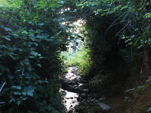 Cours d'eau à Ain Abessa Setif