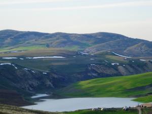 Verdure d'Ain Abessa Setif