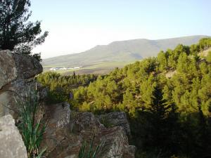Verdure d'Ain Abessa Setif