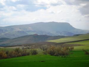 Verdure à Ain Abessa Setif