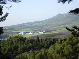 Village d'Ain Abessa Setif