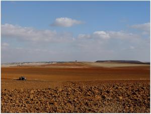 Les hauts plateaux , du coté de Sétif