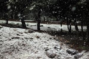 Neige à Sétif