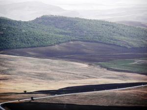 Verdure Entourant Setif