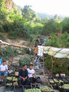 Marché de Fruits et Légumes à Setif