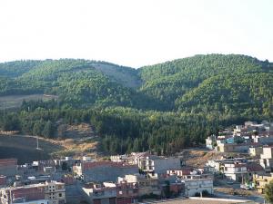 Paysage d'Ain Abessa