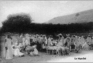 Au Marché de Bestiaux