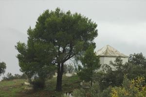 Sur la Route de Montagne