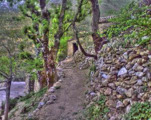 Ancienne Cahute en Pleine Nature