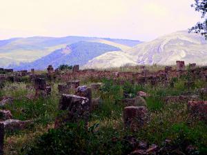 Ruines Romaines de  Djemila
