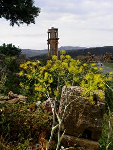 Ruines Romaines de  Djemila