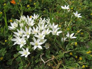 Setif Djemila ALGERIE avril 2008