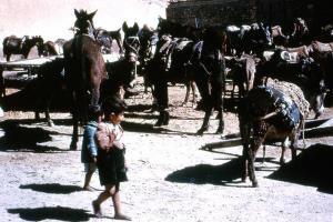 Sétif à l'époque coloniale