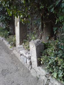 Ruines Romaines de  Djemila