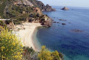 LE RAVIN DES LIONS Skikda