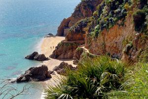 Plage du Ravin des Lions Skikda