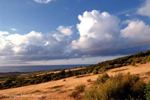 Dunes de Sable de la Région de Flifla