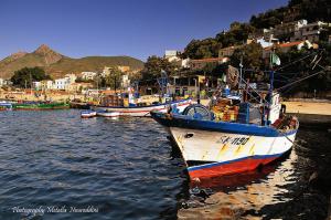 Port Collo de Skikda