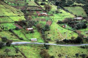 Champs Agricoles à Skikda